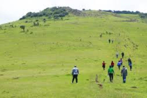 Nairobi: Ngong Hills, Giraffe Center, and Blixen Tour