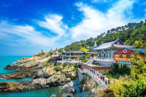 Busan: Private Shore Excursion with a Certified Guide 8-hour private tour with a exclusive vehicle