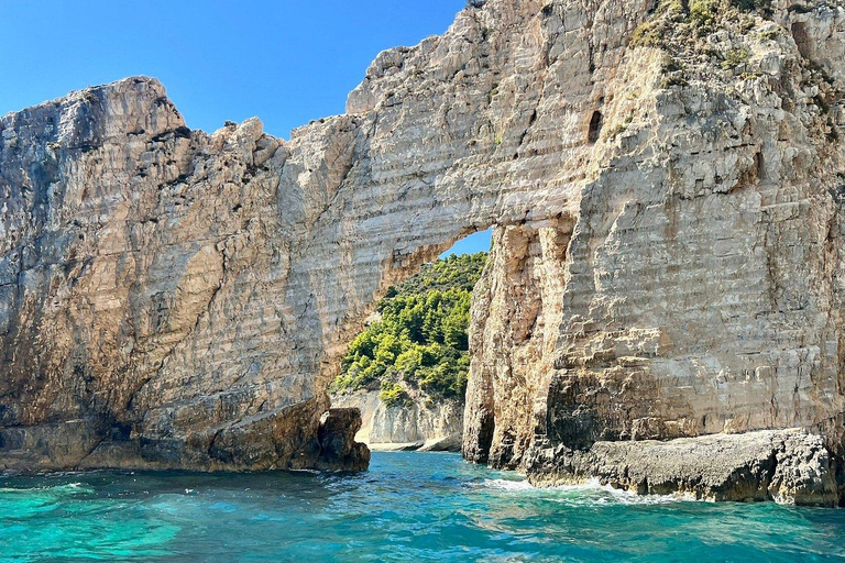 Zakynthos: Small Group Turtle Tour with Swim Stops