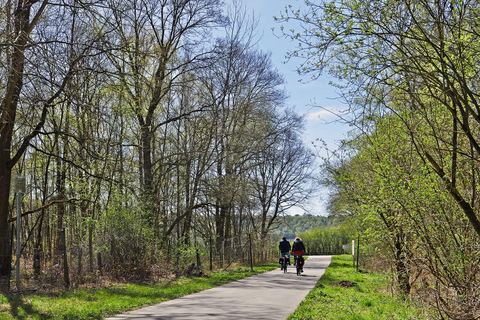 Tour in e-bike della Wachau (da Krems a Melk) con bici a noleggio KTM inclusaTour della Wachau in e-bike (da Krems a Melk) con bici a noleggio KTM inclusa