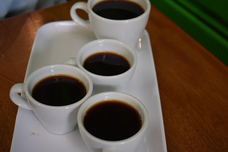 Coffee Tour trough Laureles