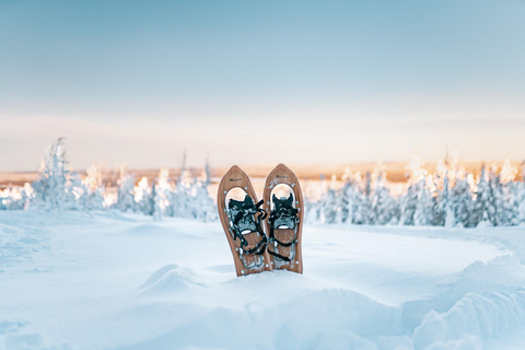 Rovaniemi: Snowshoeing in the Arctic Wilderness