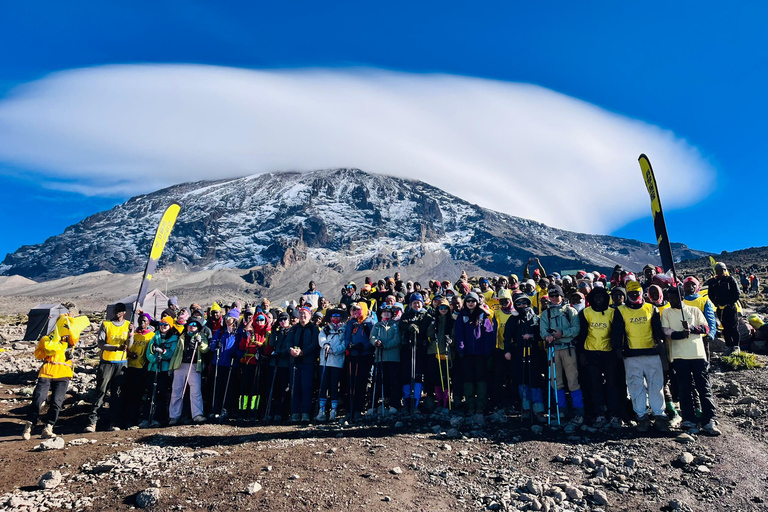 Moshi: 5 or 6-Day Kilimanjaro Trek via Marangu Route Moshi: 5 Day Kilimanjaro Trek via Marangu Route Only.
