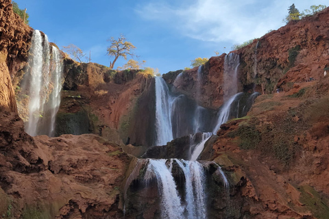 De Marrakech: Excursão de um dia às cachoeiras de Ouzoud