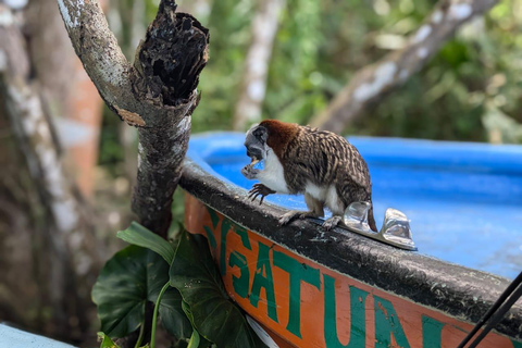 Panama City: Małpia Wyspa i rejs wycieczkowy po jeziorze Gatun