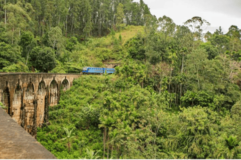 Nine Arch Bridge: Viewpoint Visit by Tuk-Tuk in Ella