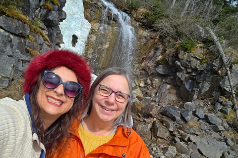 Skagway: Yukon Suspension Bridge & White Pass Scenic Tour