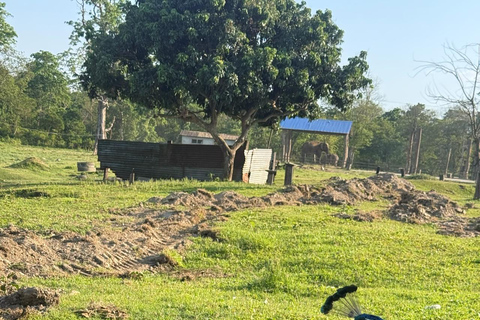 Kathmandu 6-Day Motorbike Tour: Pokhara & Chitwan Safari