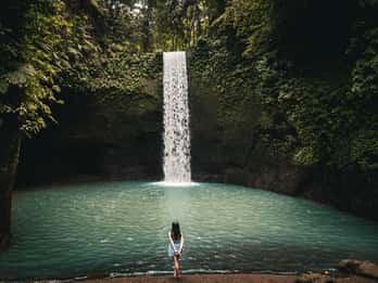 Ubud : Rizière, temple de l'eau bénite et randonnée des chutes d'eau