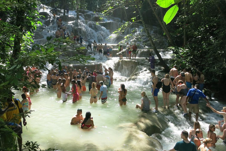 Vanuit Montego Bay: Wandeling door de waterval van Dunns River