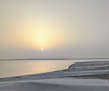 Qatar: Safari no deserto ao nascer do sol com pequeno-almoço