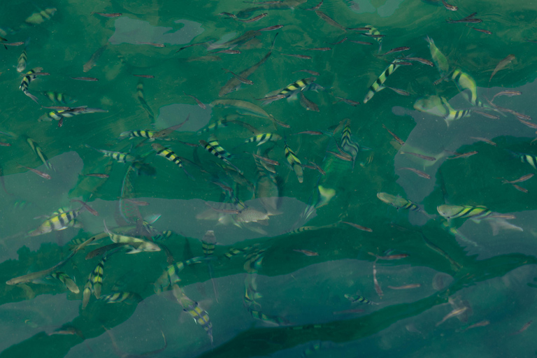 Langkawi Jet Ski Mangrove Tour Tanjung Rhu and Kilim