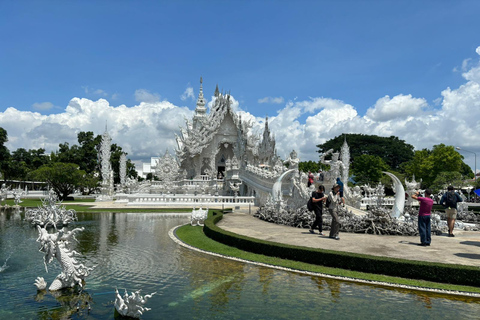 Chiang Rai: 2 Temples (White and Blue) + Black House Museum Meeting Point: Wat Phra Singh (Hotels Outside Pickup Area)
