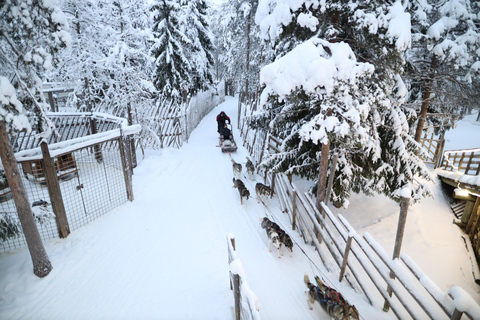 Full day: Reindeer Farm, Santa Claus Village & Husky Park