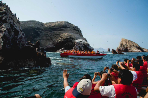 Från Lima: Dagsutflykt till Paracas och Huacachina med transfer