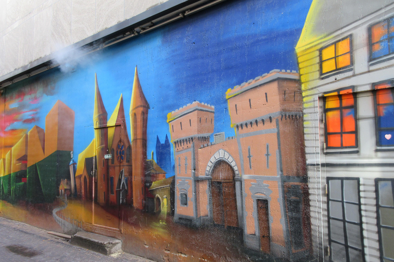 The Hague: a guided tour in French, mixing Street Art and History The Hague: Private Guided Tour in French, Combining Street Art and History