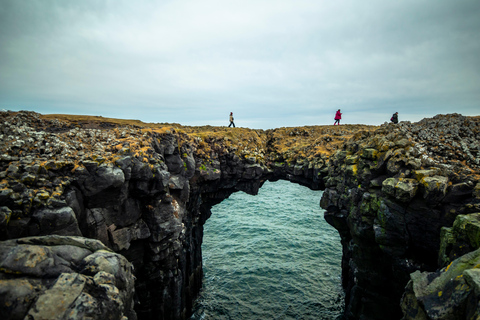 Z Grundarfjörður: Półdniowa wycieczka na półwysep Snæfellsnes