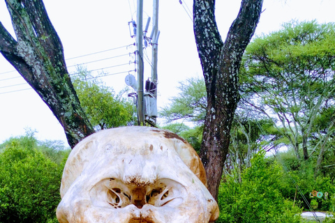 Serengeti Explorer: 6 Tage Privatsafari mit Wildbeobachtung.