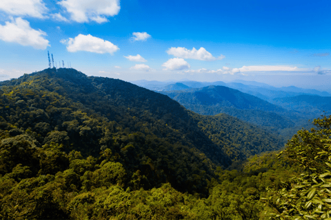 Kuala Lumpur: Cameron Highlands &amp; Batu Caves Wycieczka prywatna