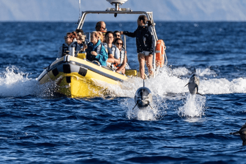 VIAGEM DE BARCO ATÉ AO CORVO