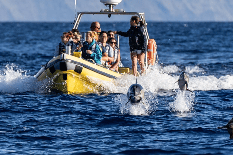 AUSFLUG NACH CORVO MIT DEM BOOT