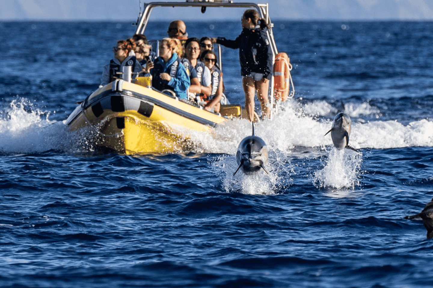 コルヴォ島ボートツアー