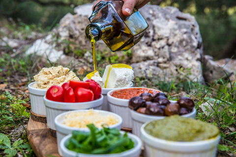 Girona: Horse Riding Experience with Catalan Food Tour