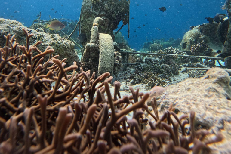 Depart Gili Air: Gili Islands Shared Snorkeling with Turtle Depart Gili Air: Half Day Shared Snorkeling Swim With Turtle