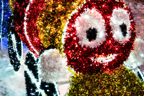 Arctic Fantasy Park Entry Ticket