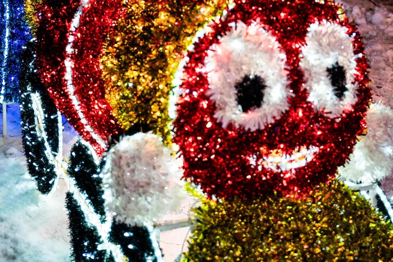 Arctic Fantasy Park Entry Ticket