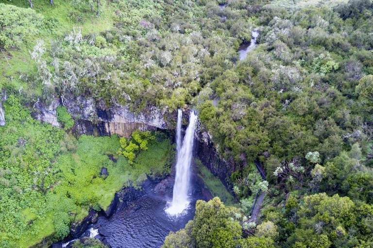 Aberdare National Park Day Excursion From Nairobi Aberdares National Park Day tour From Nairobi