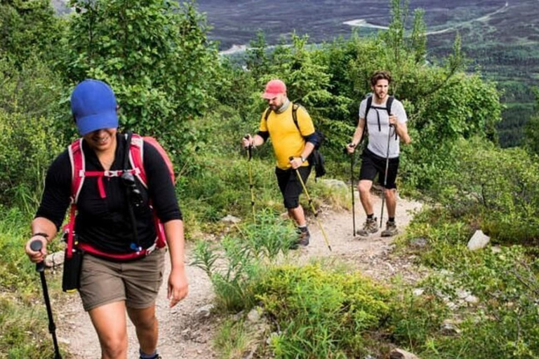 Durban: Half Day Drakensberg Mountain Hiking Tour