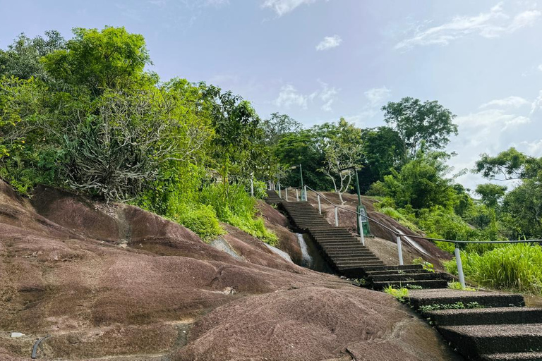 From Colombo: Gampaha District Temples & Jungle Hike Tour