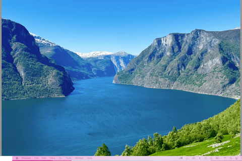 Flåm Flexible Tour with Stegastein, cruise and train include