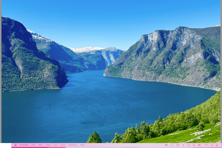 Flåm Flexible Tour with Stegastein, cruise and train include