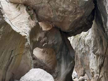 Kemer: Rundtur i Göynük Canyon