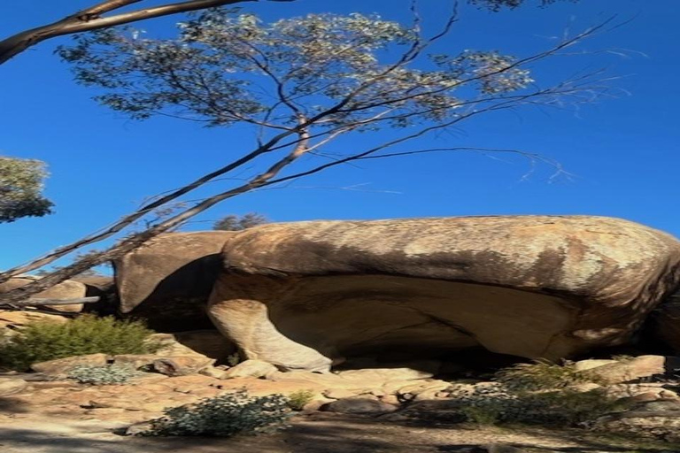 From Perth: Wave Rock Private Tour