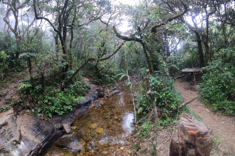 Kandy: Tour di un giorno delle cascate e dei villaggi locali con pranzo