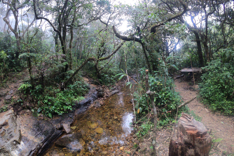 Kandy: Passeio de um dia pelas cachoeiras e vilarejo local com almoço