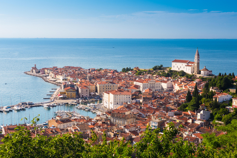 Vanuit Ljubljana: Piran met historische wandeltour