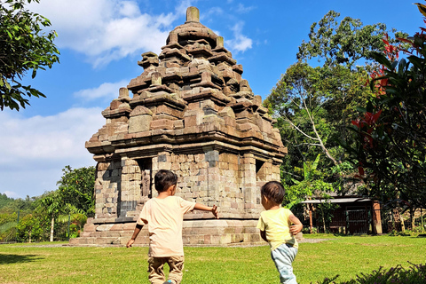 From Yogyakarta: Selogriyo Rice Terraces to Hidden Waterfall