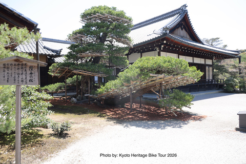 Kyoto: E-Bike Tour of Palace, Castle, Temples & Hidden Gems