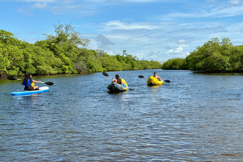 Fort Lauderdale: Kayak & Paddleboard Mangroves Eco Adventure