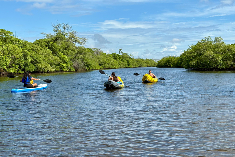 Fort Lauderdale: Kayak & Paddleboard Mangroves Eco Adventure