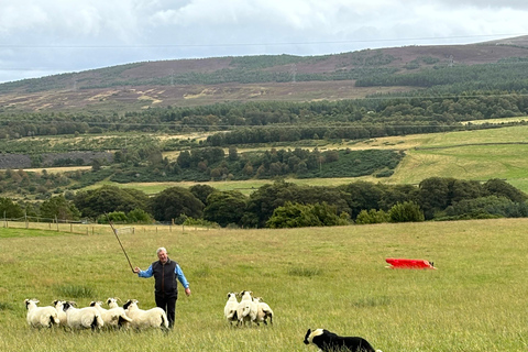 Inverness: Highland Heritage and Culture Tour
