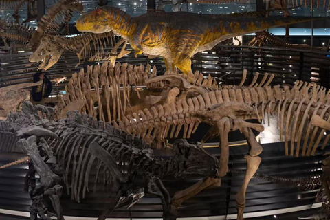 Fukui: Dinosaur Museum Ticket & Digital Family Guide