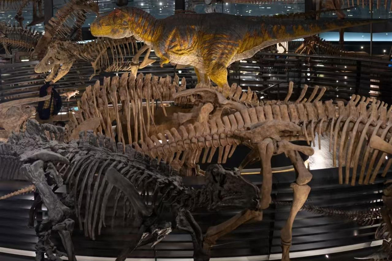 Fukui: Dinosaur Museum Ticket & Digital Family Guide