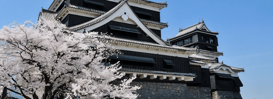 Excursion de 9 heures à Kyushu｜ Kumamoto