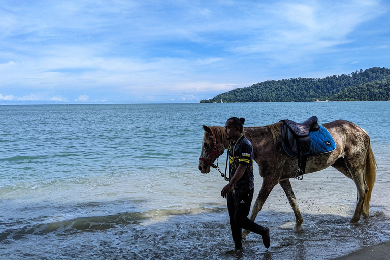 Saint John: Horseback Ride with Beach & Countryside Options 1-Hour Coastal Countryside Ride