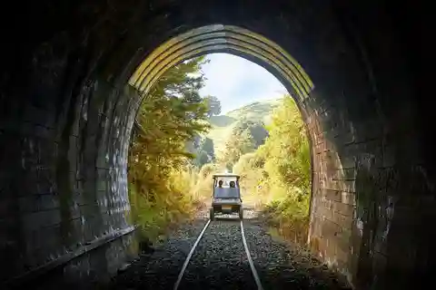 Taumarunui: Wycieczka z lunchem po zapomnianym świecie